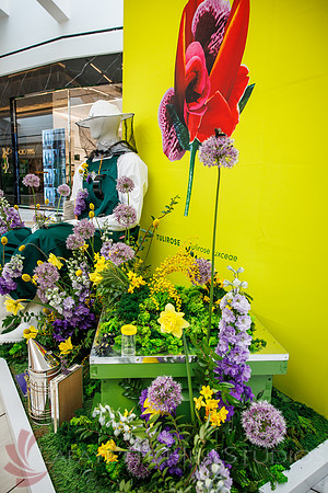 KOP Flowershow2025 Pre-show__0047