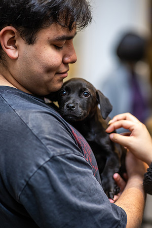 KOP Pet-Adoption2025_0077