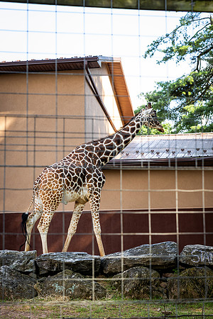 FIP-2025-30th Anniversary-Zoo_0028