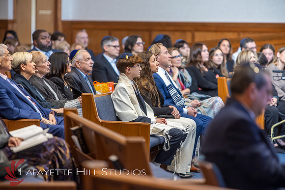 Goldstein_HLPart1_0034