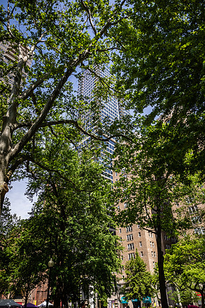 Rittenhouse Row2025Festival_0009