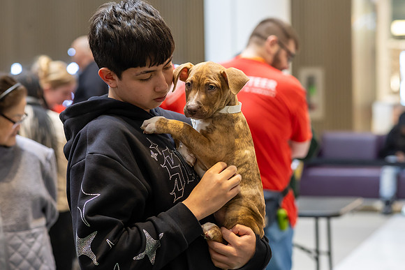 KOP Pet-Adoption2025_0105