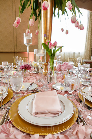 Mansion_0073