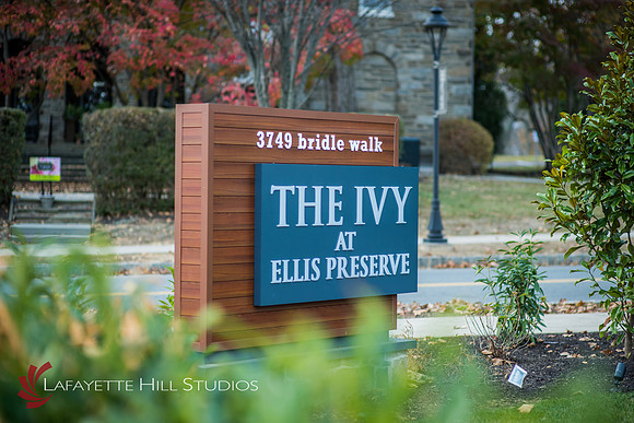 TheIvy_HL_0002