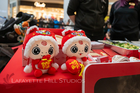 KOP-Lunar New Year2025 Dragon_0052