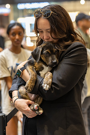 KOP Pet-Adoption2025_0112