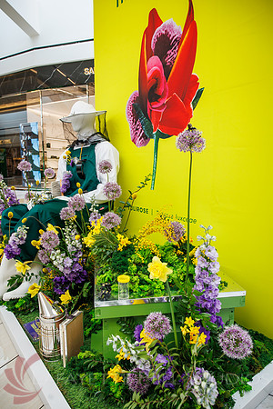 KOP Flowershow2025 Pre-show__0050