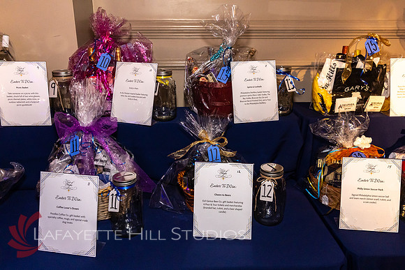 ALS Hope Foundation Gala-2025_0047