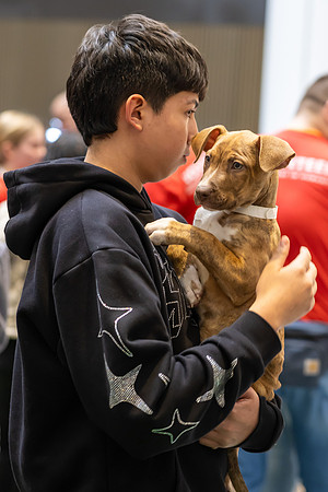 KOP Pet-Adoption2025_0106