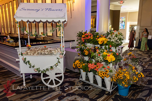 ALS Hope Foundation Gala-2025_0083