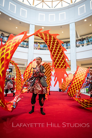 KOP-Lunar New Year2025 Dragon_0146