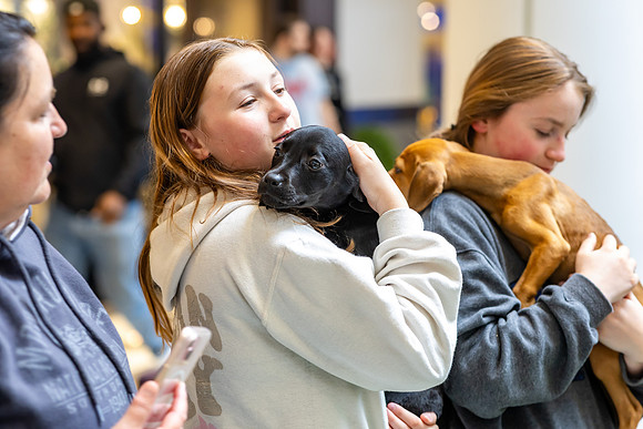 KOP Pet-Adoption2025_0168