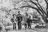 Hutchison_0042