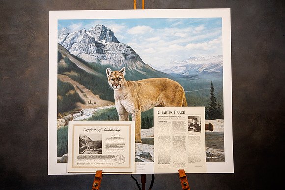 Wall Art Mike__0196