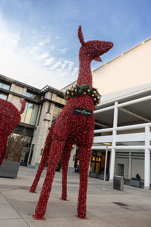 KOP Santa2024_0005