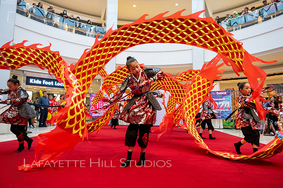 KOP-Lunar New Year2025 Dragon_0152