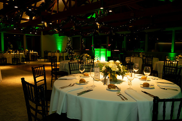 JaguarHoliday2024_0006