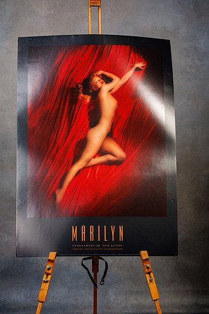 Wall Art Mike__0079