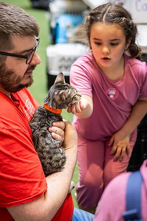 KOP Pet-Adoption2025_0162